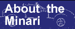 about minari